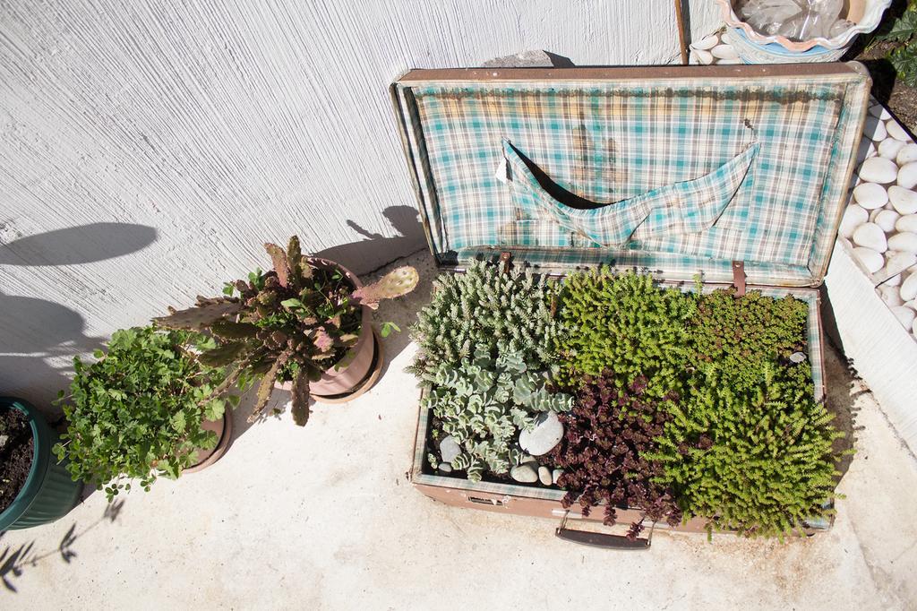 Terrace Garden Boutique Hotel تبليسي المظهر الخارجي الصورة