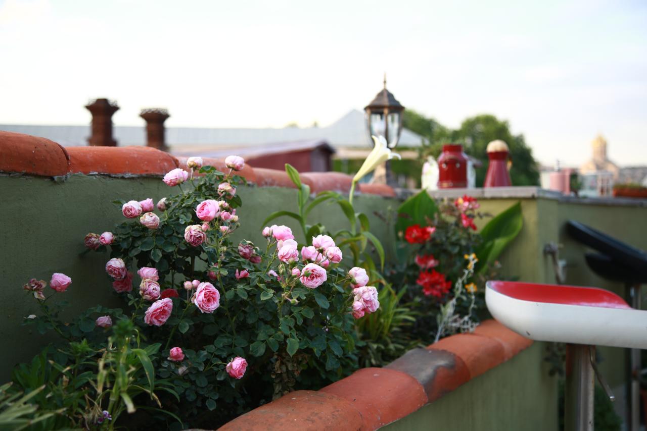 Terrace Garden Boutique Hotel تبليسي المظهر الخارجي الصورة